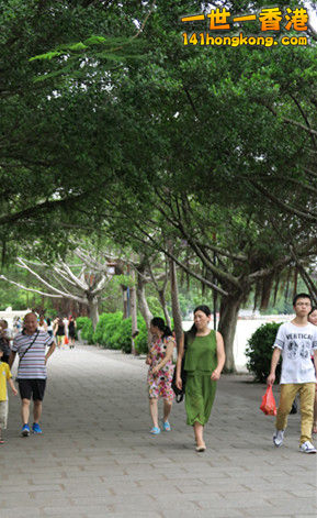 IMG_0541_副本.jpg