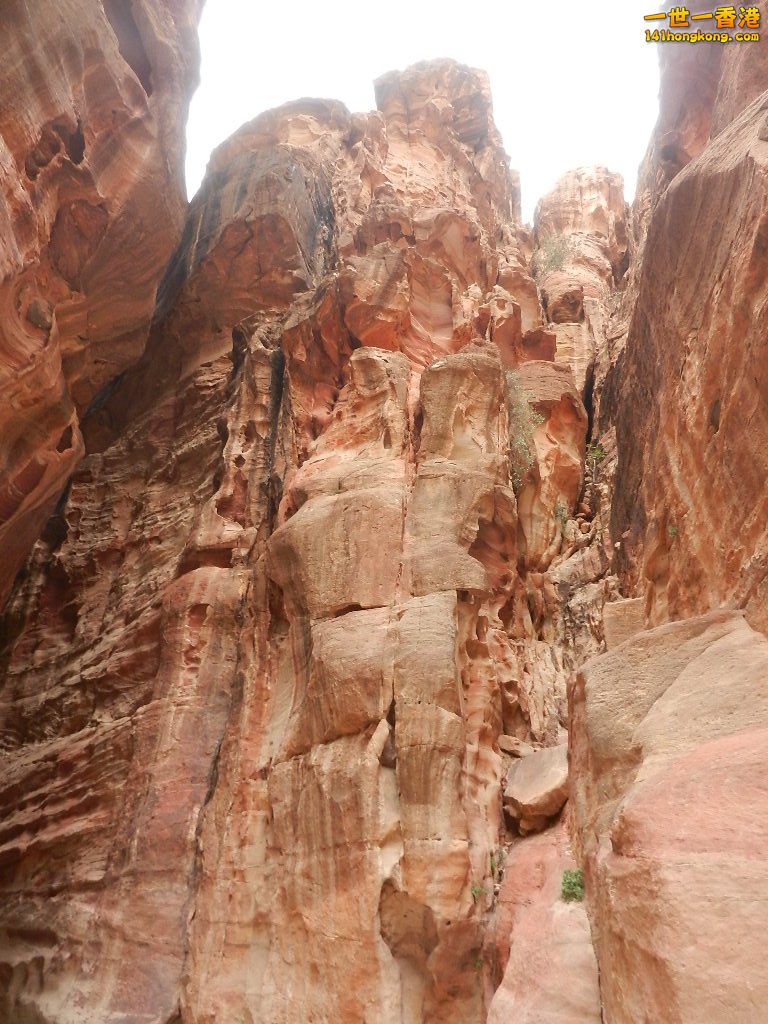 DSCN7062.JPG