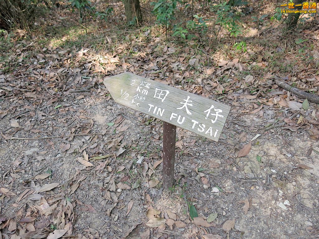 IMG_4009.JPG