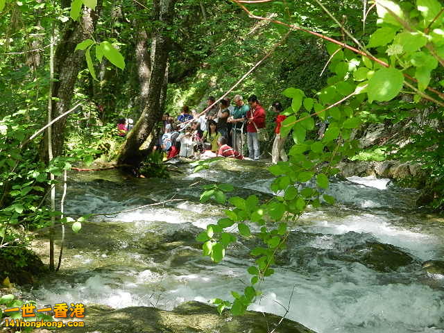 DSCN9075.JPG