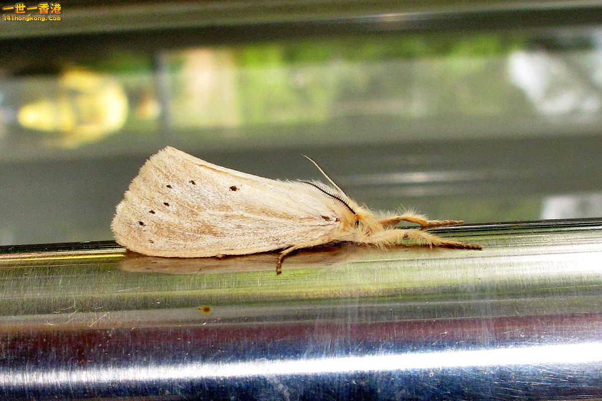IMG_6491.1.jpg