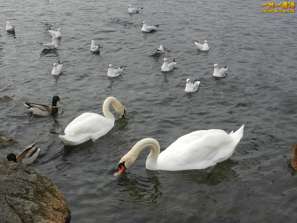 DSCN2344.JPG