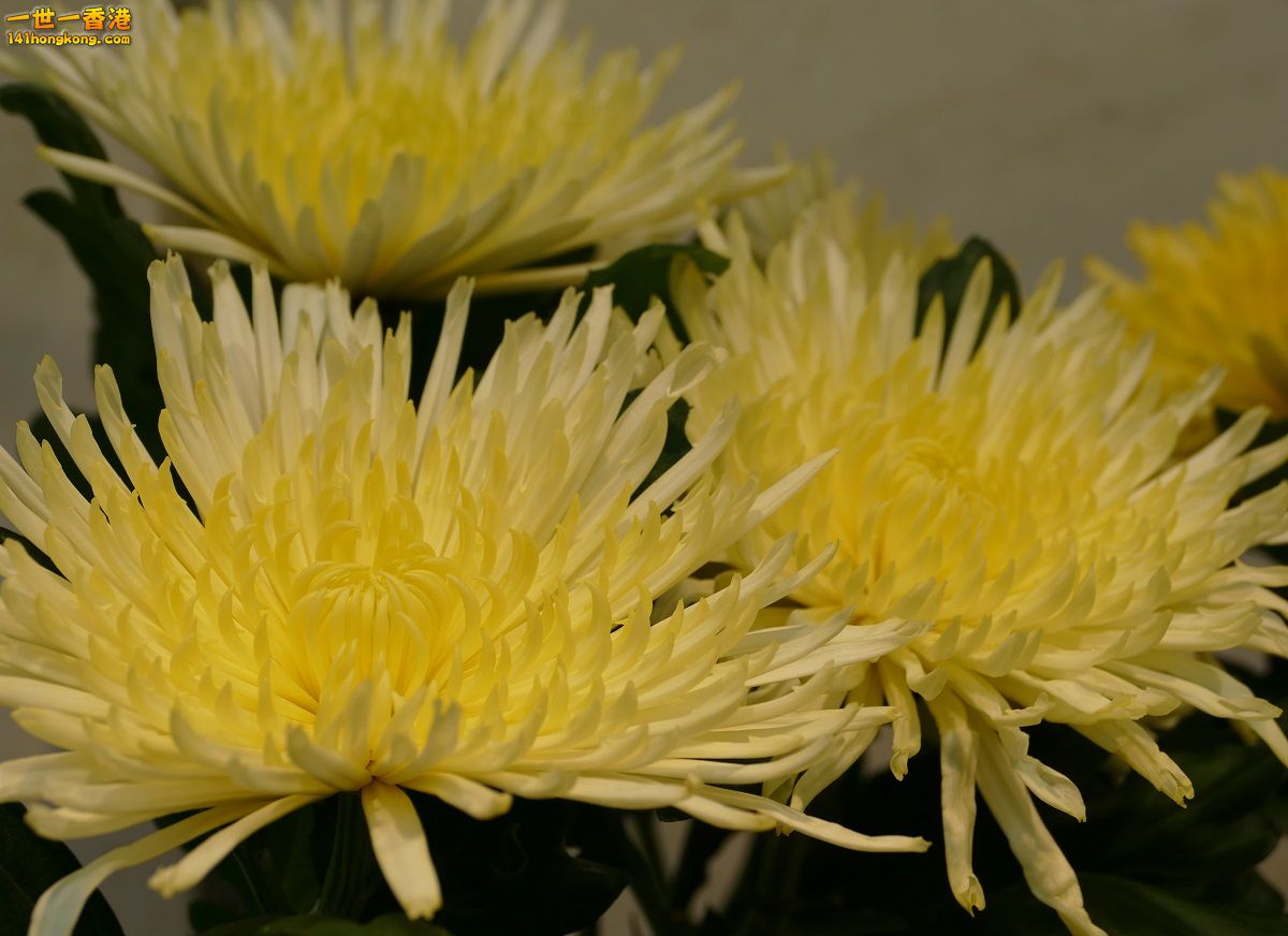 L1000211.JPG