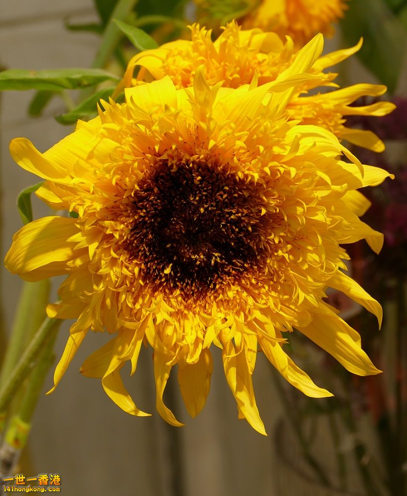 L1000216.JPG
