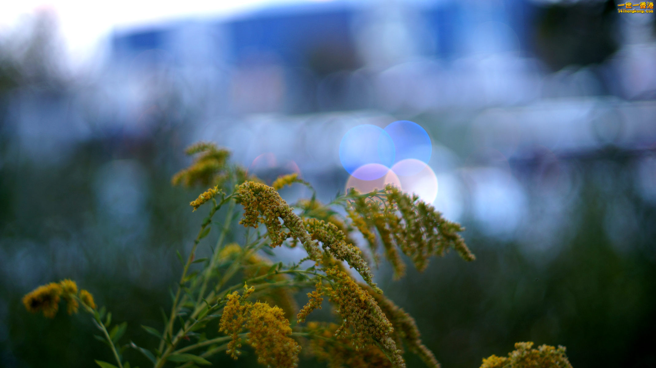 DSC05604_副本.jpg
