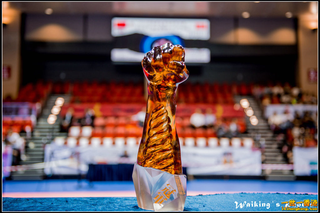 20150906 Karate 0235.jpg