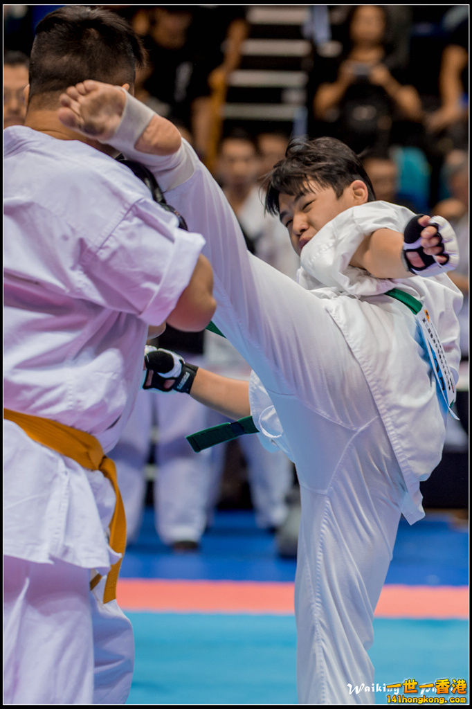 20150906 Karate 0055.jpg