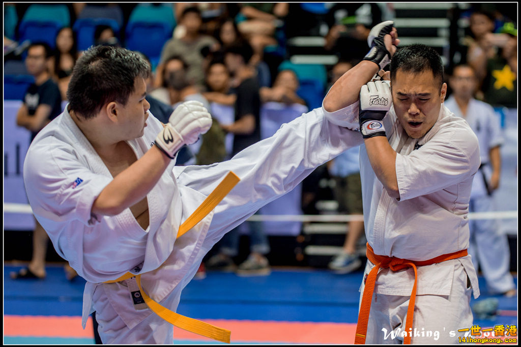 20150906 Karate 0084.jpg
