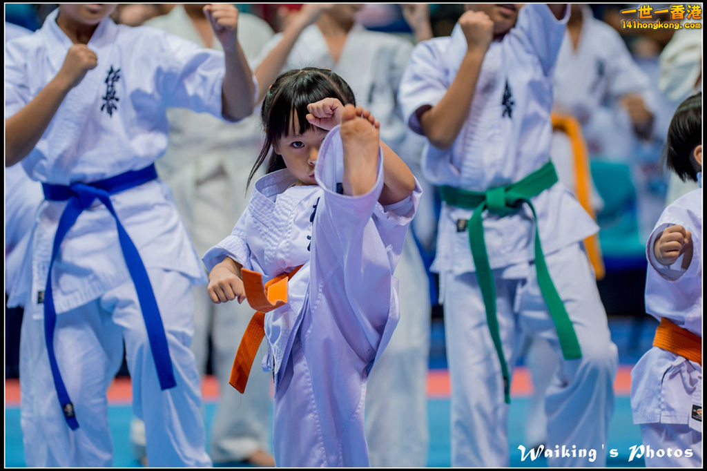 20150906 Karate 0300.jpg