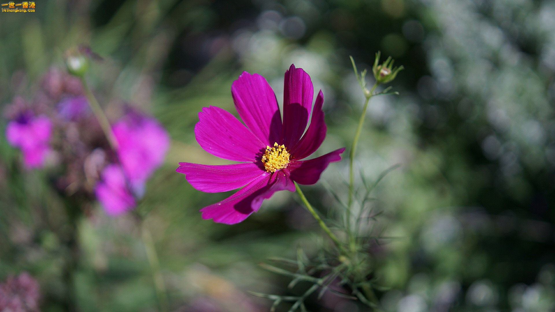 DSC05672_副本.jpg