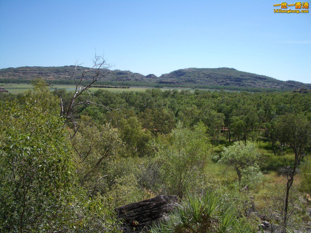 050527 319.JPG