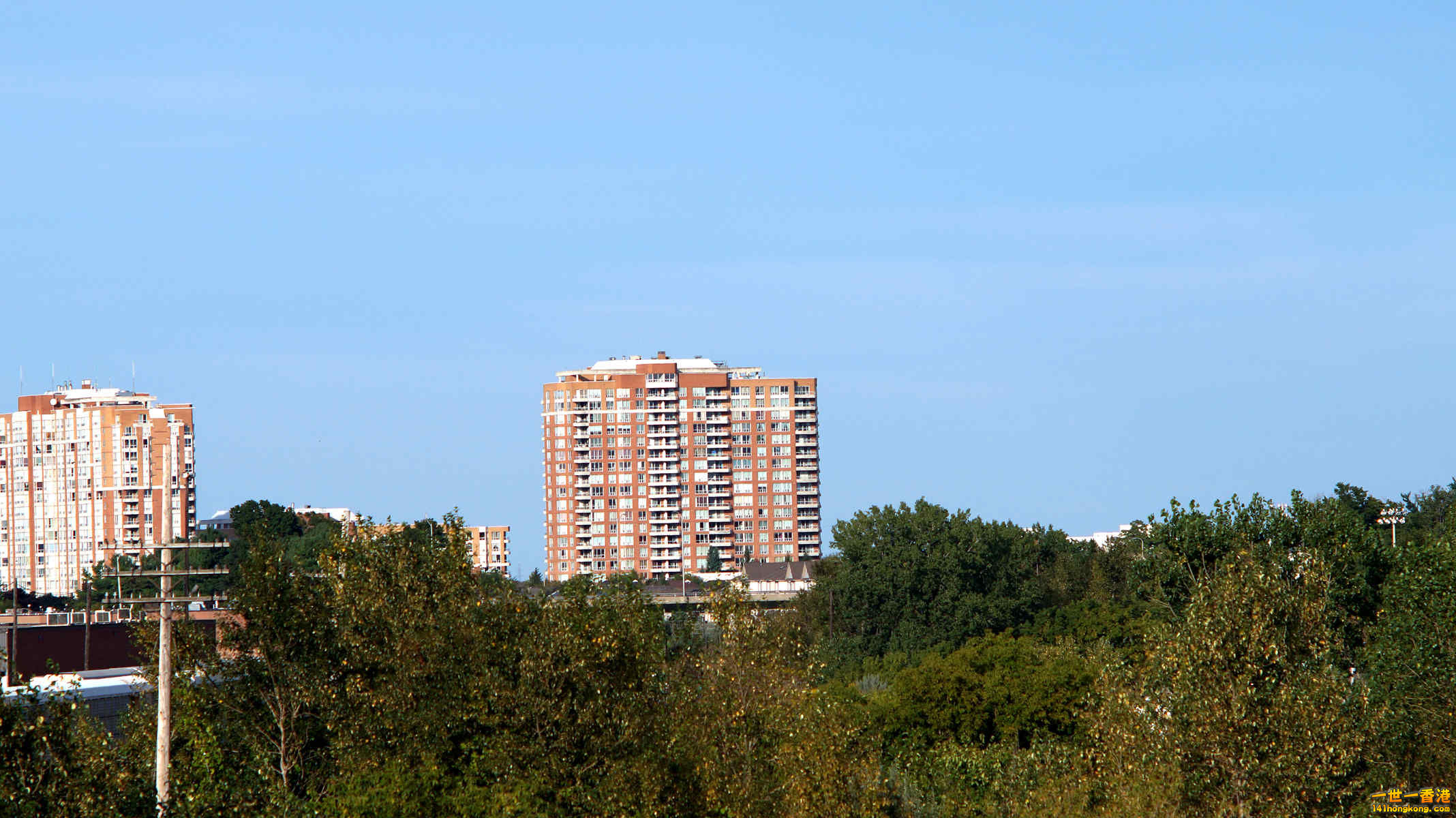 DSC05725_副本.jpg