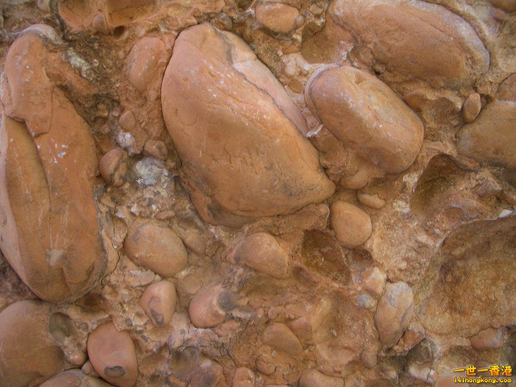 050527 130.JPG