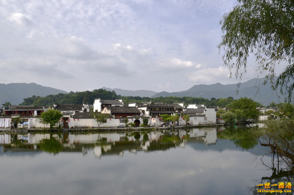 YMWV8261.jpg