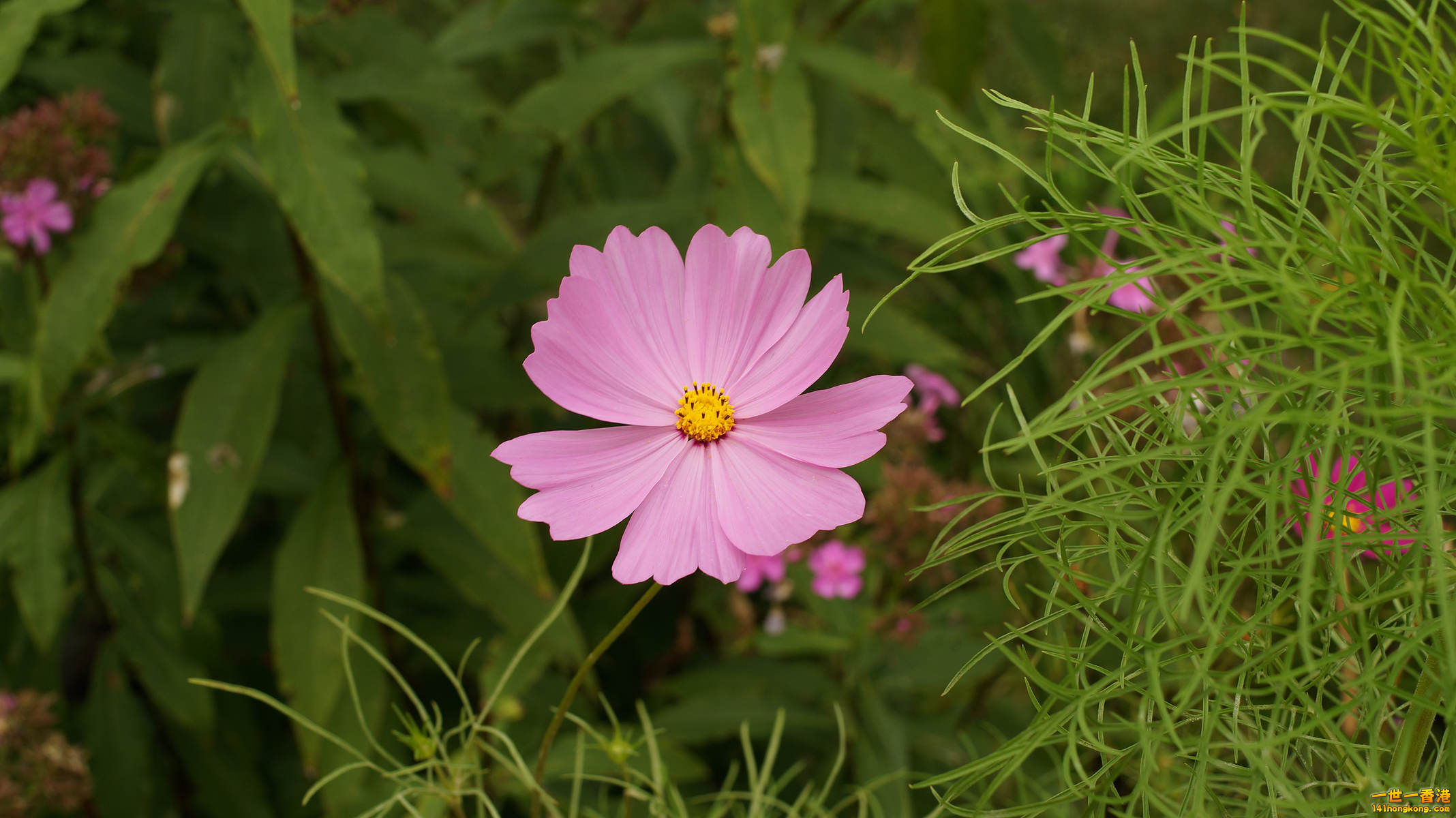 DSC05828_副本.jpg