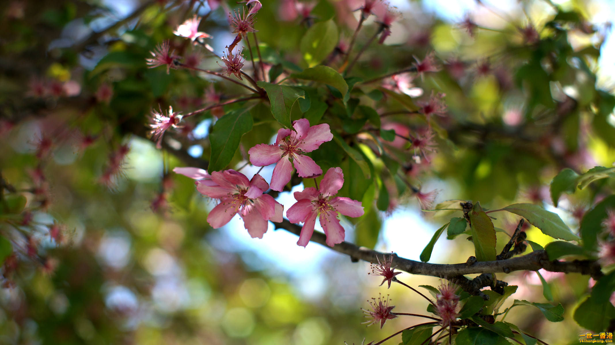 DSC01485_副本.jpg