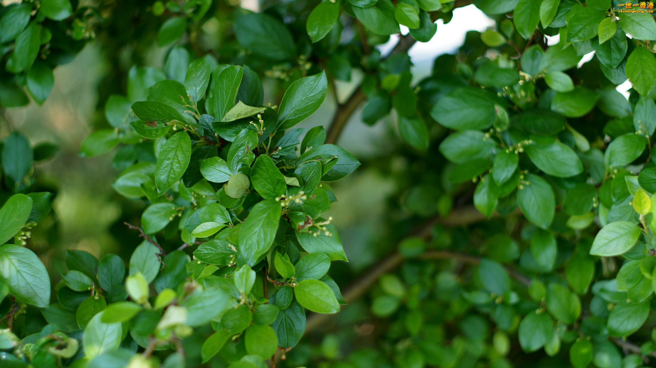 DSC01503_副本.jpg