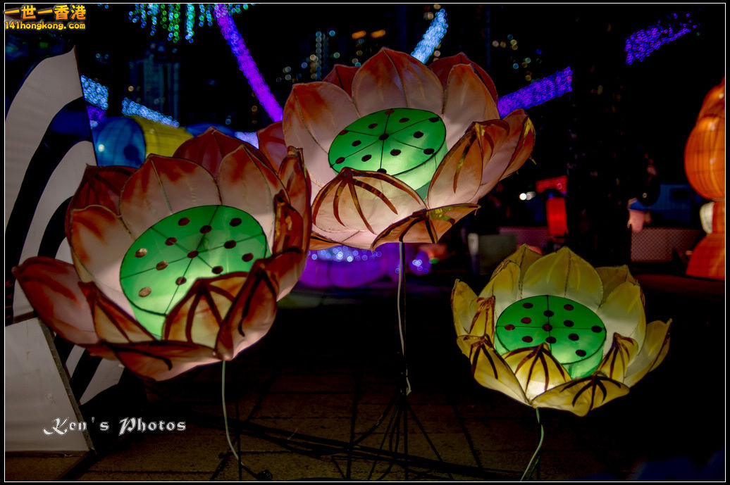 20150925 loght1028.jpg