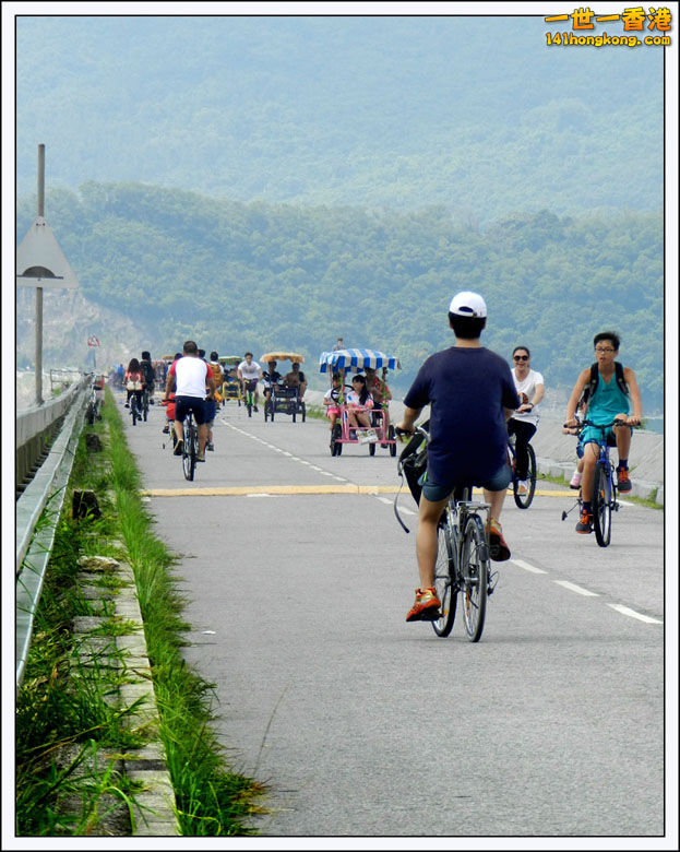 P002.jpg