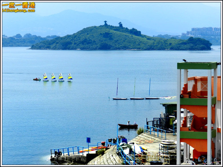 P008 .jpg