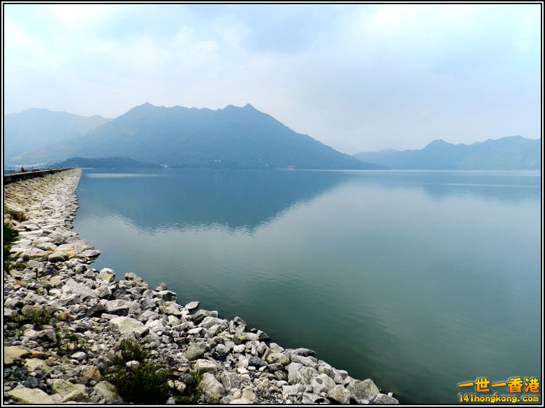 P020.jpg