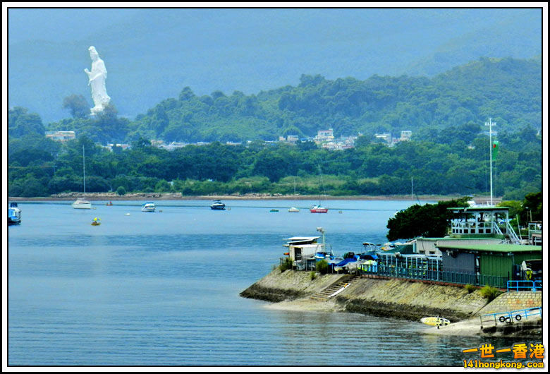 P013.jpg