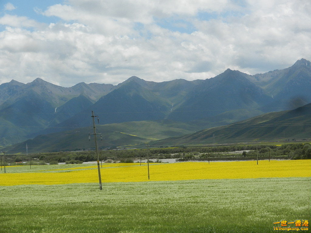 DSCN9128.JPG