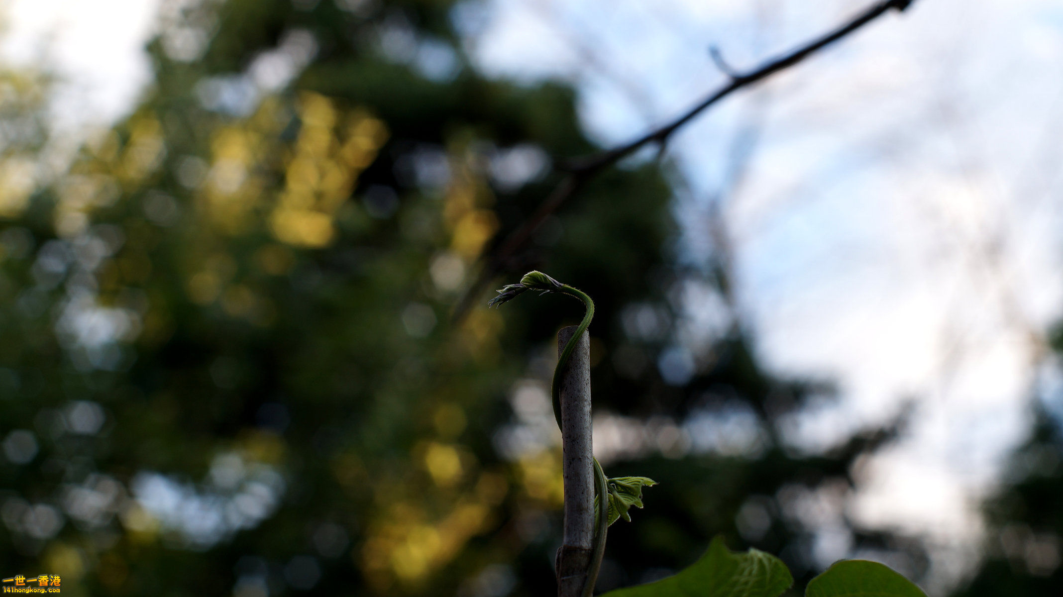 DSC03376_副本.jpg