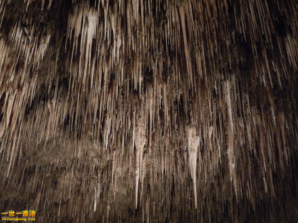 DSCN3090.JPG