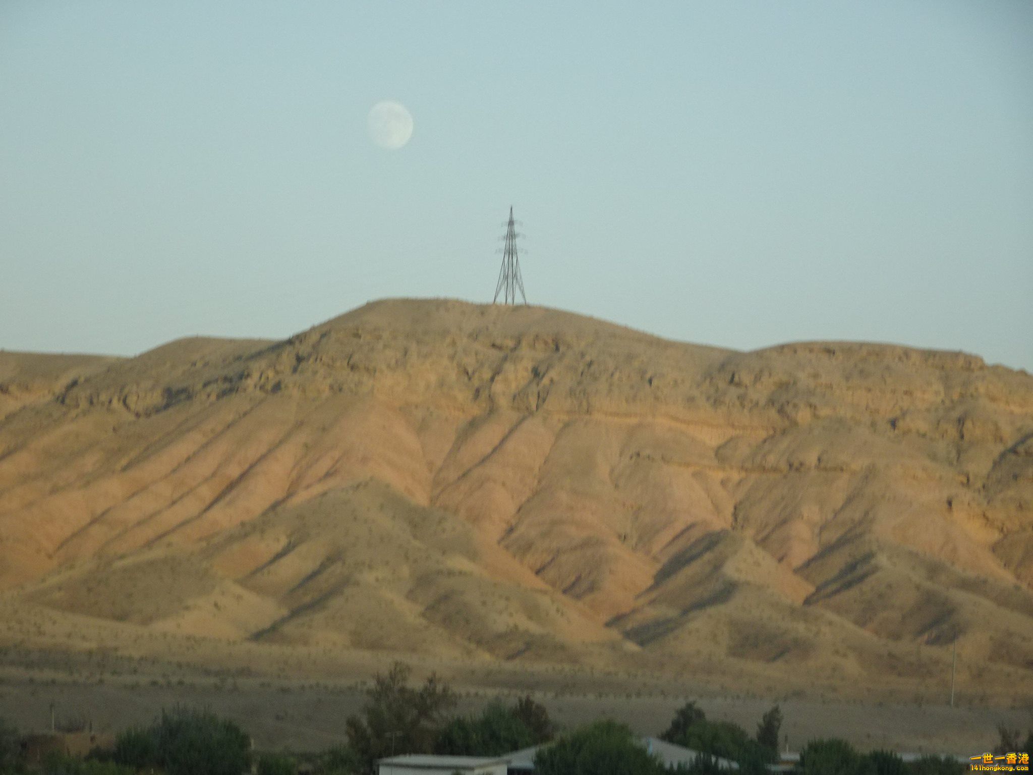 14b.jpg