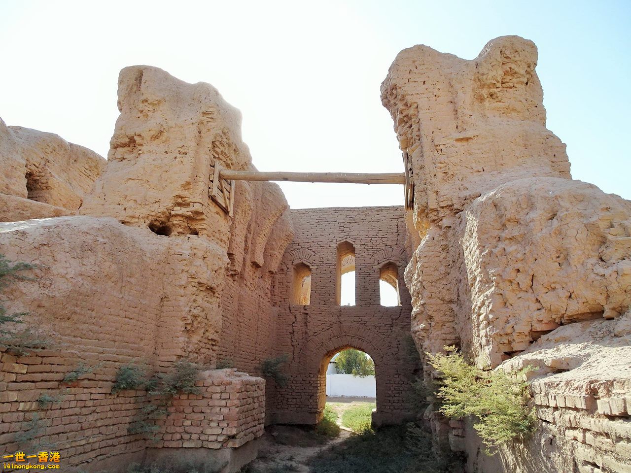 16.jpg