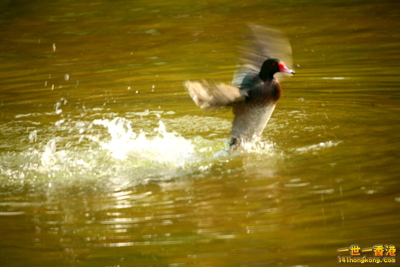IMG_3633.JPG