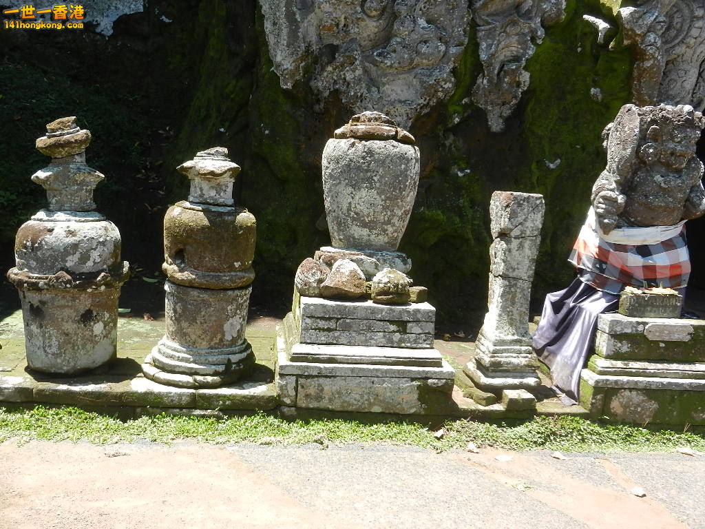 DSCN0313.JPG