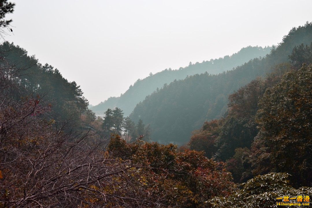 DSC_1171A.jpg