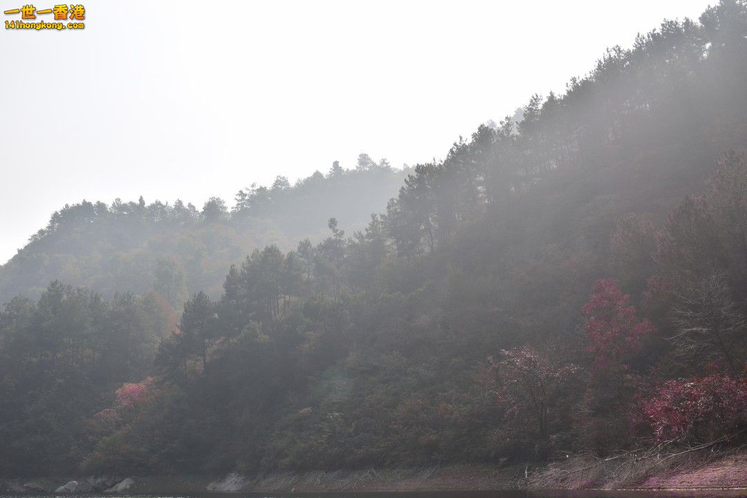 DSC_1148.jpg