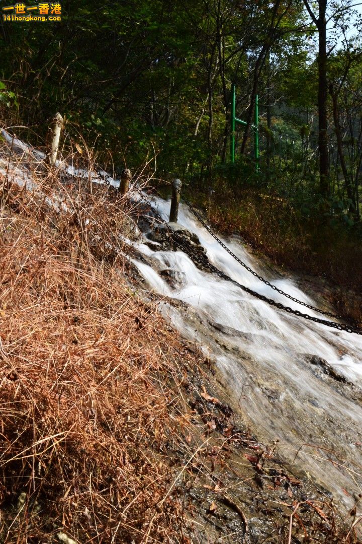 DSC_1167.jpg