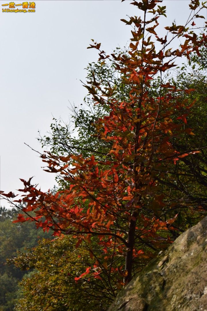 DSC_1175.jpg