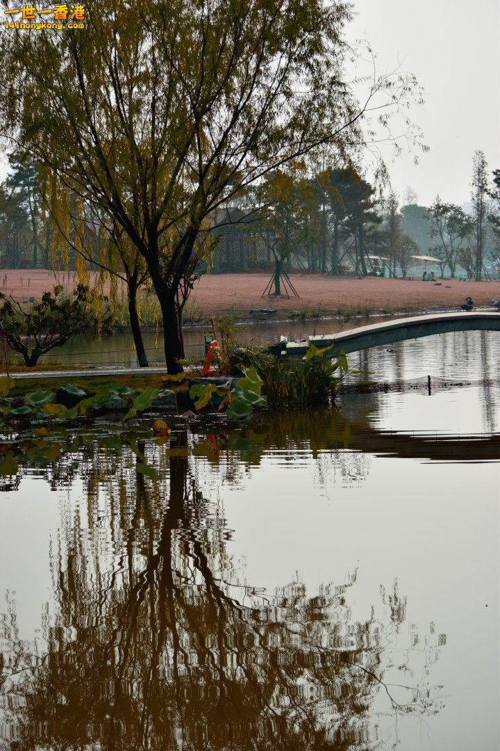 DSC_1457A.jpg