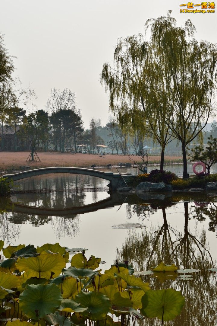 DSC_1464A.jpg