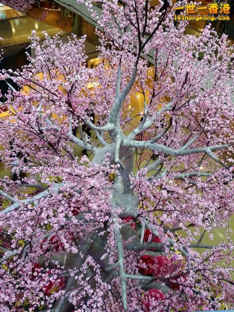 tree 2.jpg