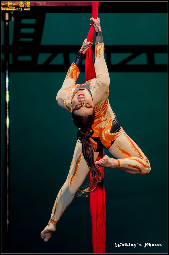 2015-11-19 Aerial Dance 0276.jpg