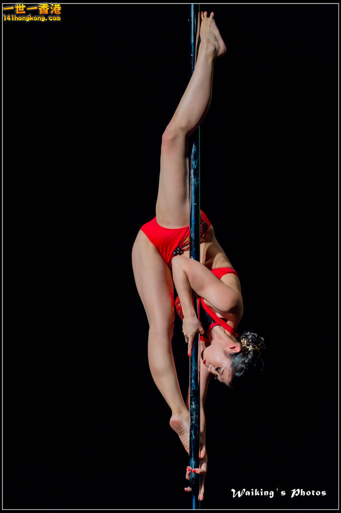 2015-11-19 Aerial Dance 0466.jpg