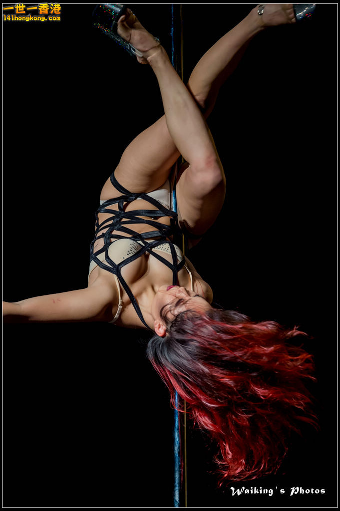 2015-11-19 Aerial Dance 0049.jpg
