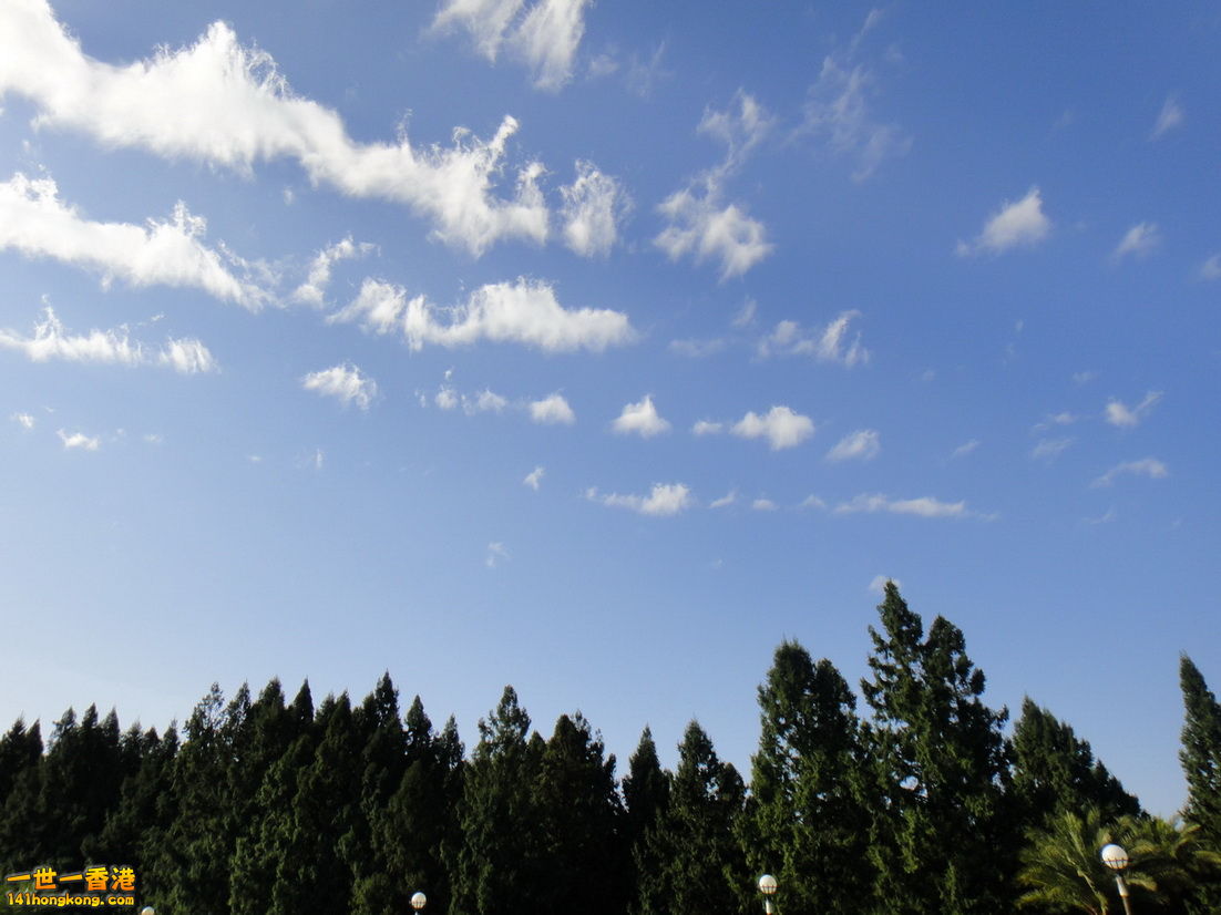 DSC01661.JPG