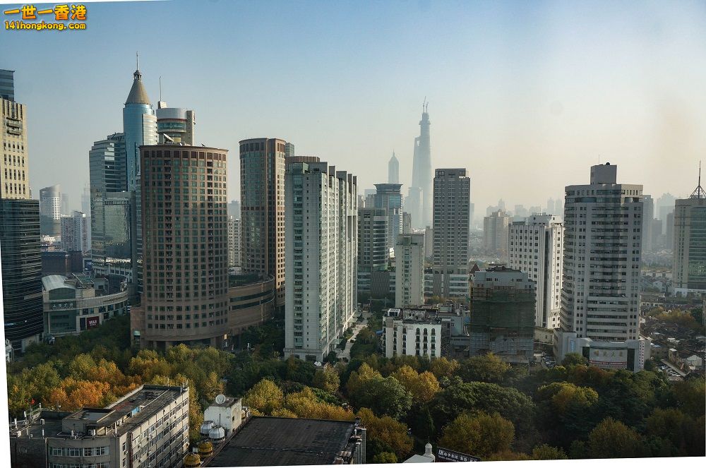 20131125-DSC01697.jpg