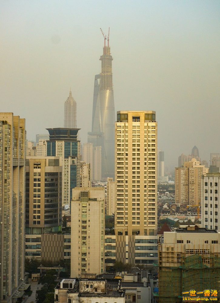 20131125-DSC01741.jpg