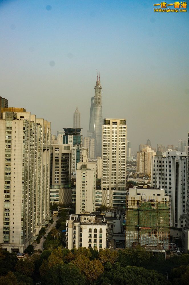 20131125-DSC01740.jpg
