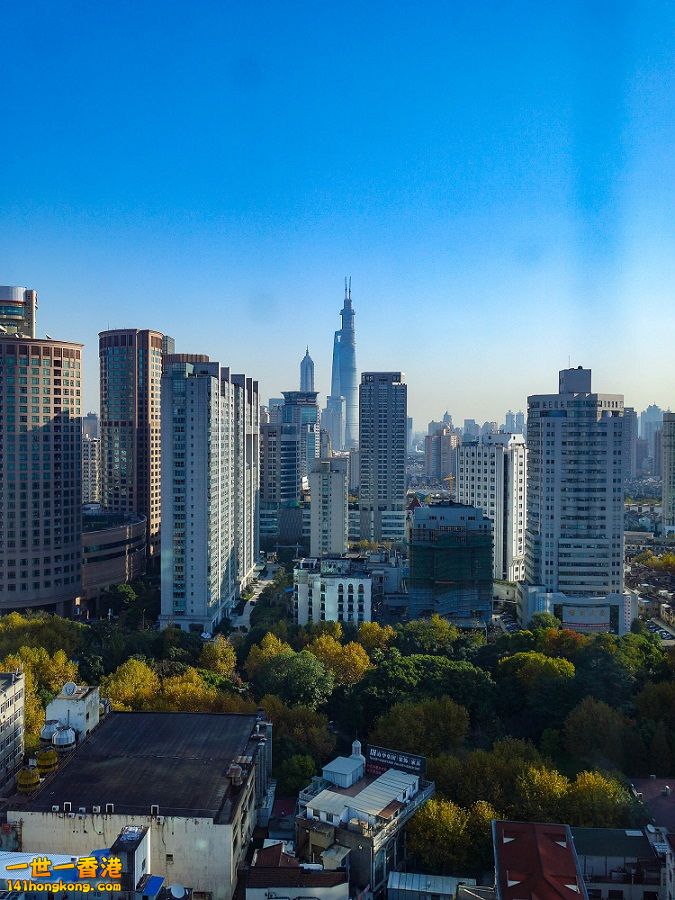 20131128-DSC02404.jpg