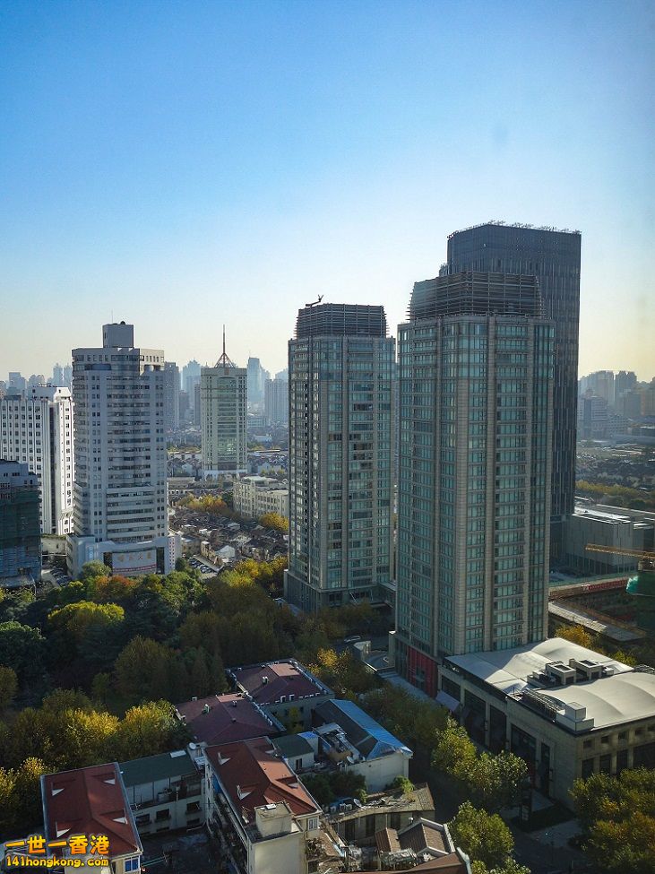 20131128-DSC02410.jpg