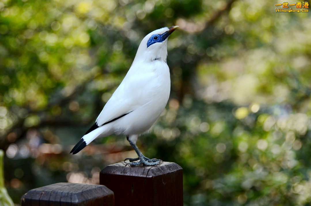 nEO_IMG_DSC_7132.jpg